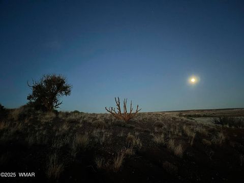 Tiny photo for 9802 Dawn Star Trail, Snowflake, AZ 85937 (MLS # 258813)