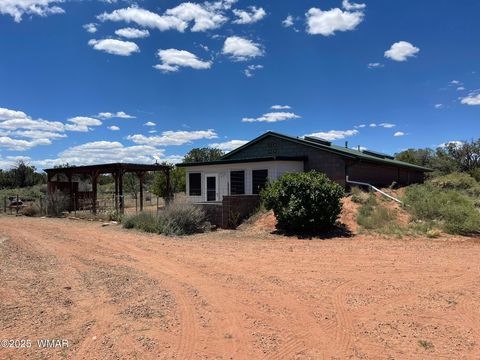 Photo of 9802 Dawn Star Trail, Snowflake, AZ 85937 (MLS # 258813)