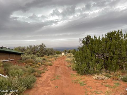 Tiny photo for 9802 Dawn Star Trail, Snowflake, AZ 85937 (MLS # 258813)