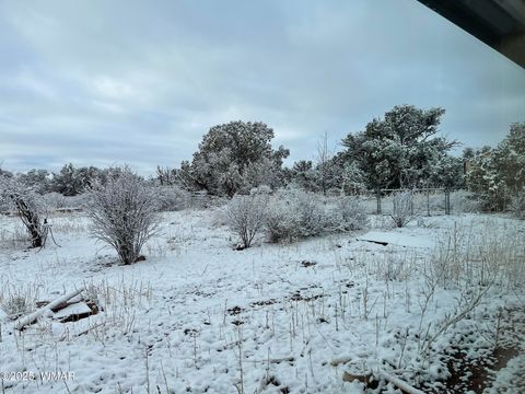 Tiny photo for 9802 Dawn Star Trail, Snowflake, AZ 85937 (MLS # 258813)