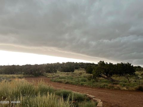 Tiny photo for 9802 Dawn Star Trail, Snowflake, AZ 85937 (MLS # 258813)