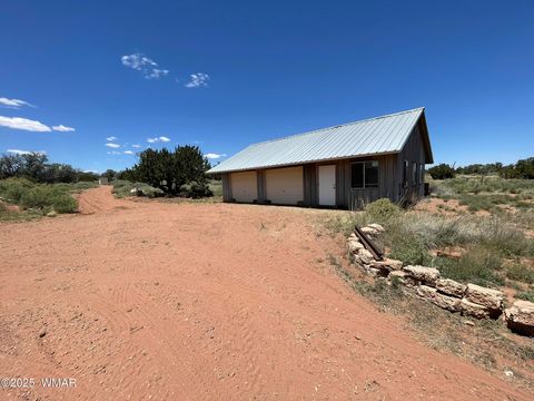 Tiny photo for 9802 Dawn Star Trail, Snowflake, AZ 85937 (MLS # 258813)