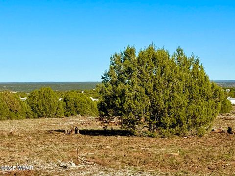 Tiny photo for TBD Mustang Ln Lots F & H 5.5 Acre, Show Low, AZ 85901 (MLS # 258692)
