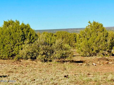 Tiny photo for TBD Mustang Ln Lots F & H 5.5 Acre, Show Low, AZ 85901 (MLS # 258692)