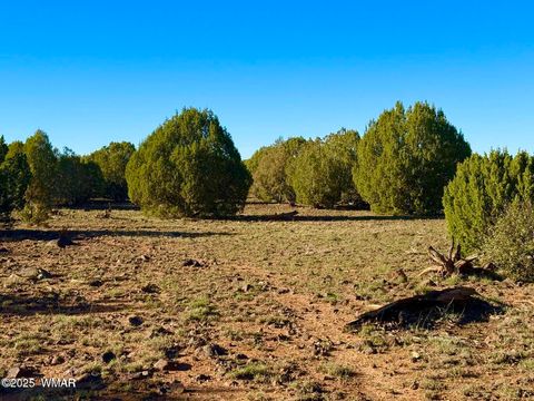 Tiny photo for TBD Mustang Ln Lots F & H 5.5 Acre, Show Low, AZ 85901 (MLS # 258692)