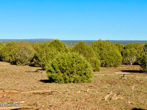 Tiny photo for TBD Mustang Ln Lots F & H 5.5 Acre, Show Low, AZ 85901 (MLS # 258692)