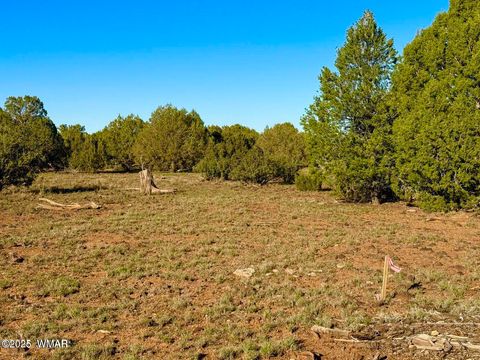 Tiny photo for TBD Mustang Ln Lots F & H 5.5 Acre, Show Low, AZ 85901 (MLS # 258692)
