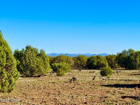 Tiny photo for TBD Mustang Ln Lots F & H 5.5 Acre, Show Low, AZ 85901 (MLS # 258692)