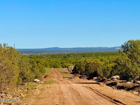 Tiny photo for TBD Mustang Ln Lots F & H 5.5 Acre, Show Low, AZ 85901 (MLS # 258692)