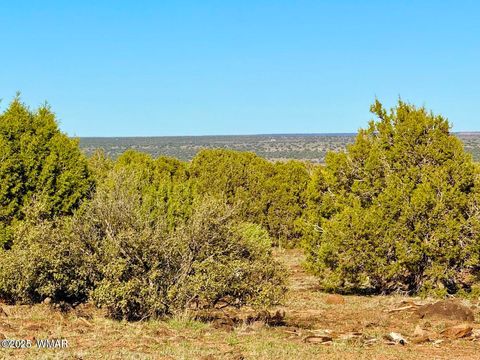 Tiny photo for TBD Mustang Ln Lots F & H 5.5 Acre, Show Low, AZ 85901 (MLS # 258692)