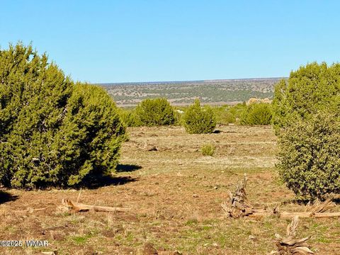 Tiny photo for TBD Mustang Ln Lots F & H 5.5 Acre, Show Low, AZ 85901 (MLS # 258692)