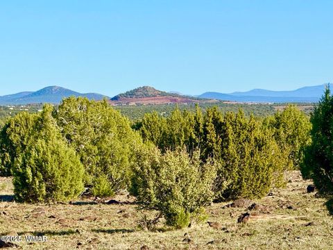 Photo of TBD Mustang Ln Lots F & H 5.5 Acre, Show Low, AZ 85901 (MLS # 258692)