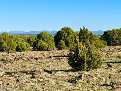 Tiny photo for TBD Mustang Ln Lots F & H 5.5 Acre, Show Low, AZ 85901 (MLS # 258692)