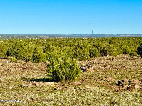 Tiny photo for TBD Mustang Ln Lots F & H 5.5 Acre, Show Low, AZ 85901 (MLS # 258692)