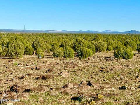 Tiny photo for TBD Mustang Ln Lots F & H 5.5 Acre, Show Low, AZ 85901 (MLS # 258692)