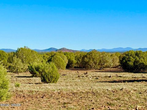 Tiny photo for TBD Mustang Ln Lots F & H 5.5 Acre, Show Low, AZ 85901 (MLS # 258692)