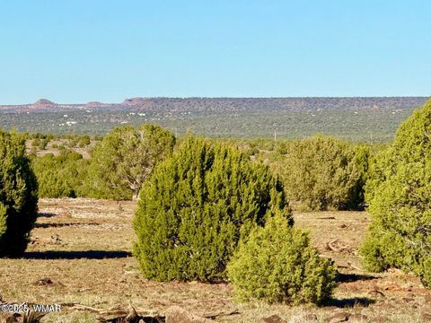 Tiny photo for TBD Mustang Ln Lots F & H 5.5 Acre, Show Low, AZ 85901 (MLS # 258692)