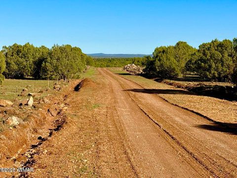 Tiny photo for TBD Mustang Ln Lots F & H 5.5 Acre, Show Low, AZ 85901 (MLS # 258692)