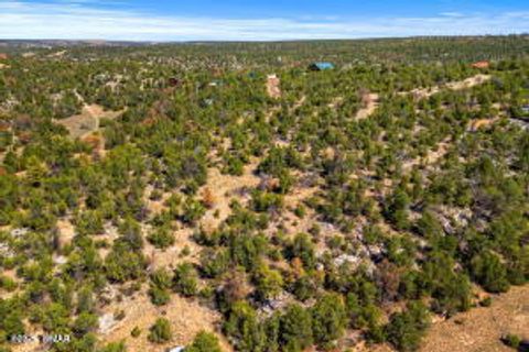Tiny photo for 3654 Zane Grey Trail, Overgaard, AZ 85933 (MLS # 258252)