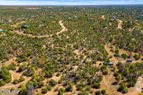 Tiny photo for 3654 Zane Grey Trail, Overgaard, AZ 85933 (MLS # 258252)