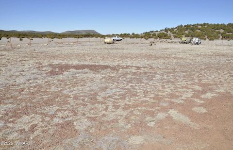 Tiny photo for 12 N3107, Vernon, AZ 85940 (MLS # 259754)