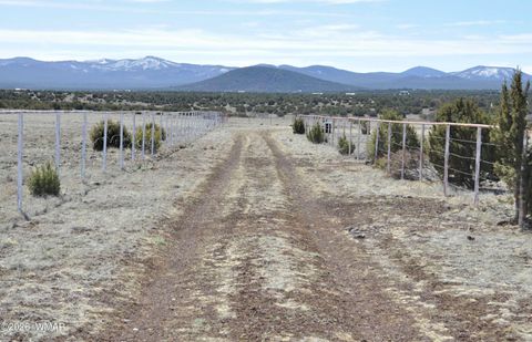 Tiny photo for 12 N3107, Vernon, AZ 85940 (MLS # 259754)