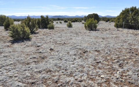 Tiny photo for 12 N3107, Vernon, AZ 85940 (MLS # 259754)