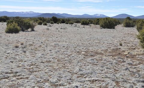 Tiny photo for 12 N3107, Vernon, AZ 85940 (MLS # 259754)