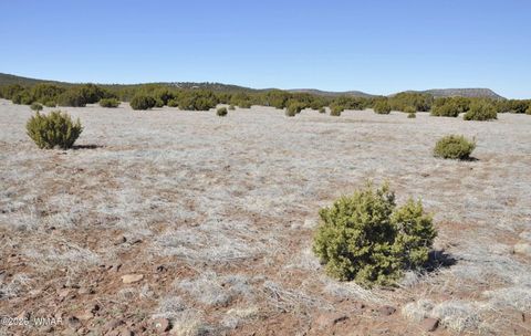 Tiny photo for 12 N3107, Vernon, AZ 85940 (MLS # 259754)