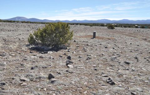 Tiny photo for 12 N3107, Vernon, AZ 85940 (MLS # 259754)