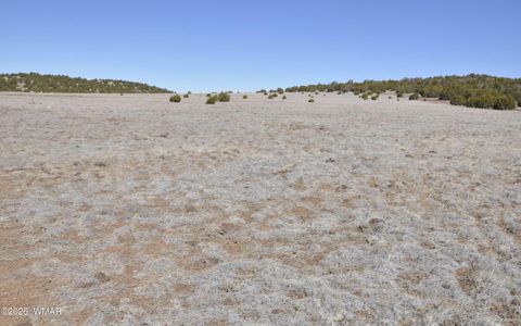 Tiny photo for 12 N3107, Vernon, AZ 85940 (MLS # 259754)