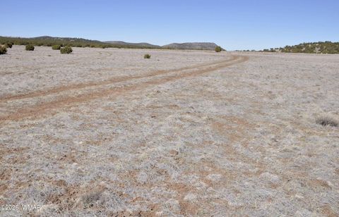 Tiny photo for 12 N3107, Vernon, AZ 85940 (MLS # 259754)