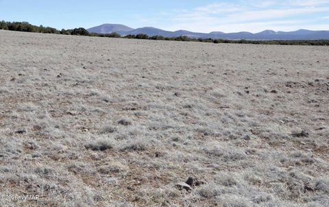 Tiny photo for 12 N3107, Vernon, AZ 85940 (MLS # 259754)