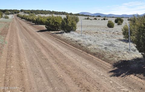 Tiny photo for 12 N3107, Vernon, AZ 85940 (MLS # 259754)