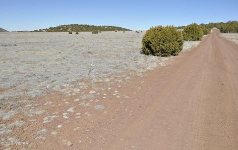 Tiny photo for 12 N3107, Vernon, AZ 85940 (MLS # 259754)