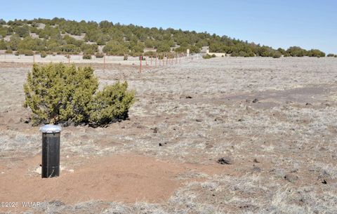 Tiny photo for 12 N3107, Vernon, AZ 85940 (MLS # 259754)