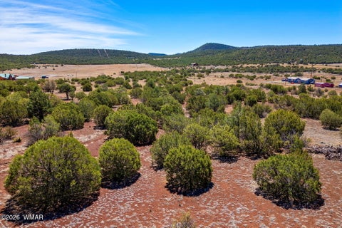 Photo of 11 County Road N3557, Vernon, AZ 85940 (MLS # 262133)