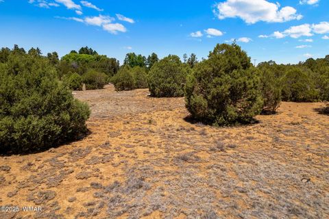 Tiny photo for 7104 State Route 260, Show Low, AZ 85901 (MLS # 259386)