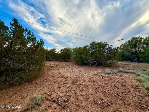 Tiny photo for 1825 Shumway Street, Show Low, AZ 85901 (MLS # 258673)