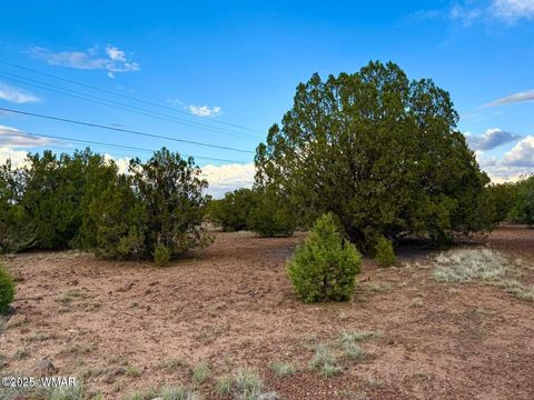 Tiny photo for 1825 Shumway Street, Show Low, AZ 85901 (MLS # 258673)