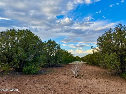 Tiny photo for 1825 Shumway Street, Show Low, AZ 85901 (MLS # 258673)