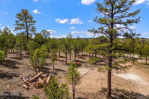 Tiny photo for 2975 Canary Lane, Heber, AZ 85928 (MLS # 259748)