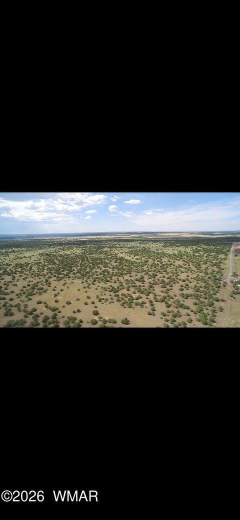 Tiny photo for 850 Cinder Pit Road, Show Low, AZ 85901 (MLS # 263560)