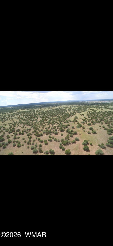 Tiny photo for 850 Cinder Pit Road, Show Low, AZ 85901 (MLS # 263560)
