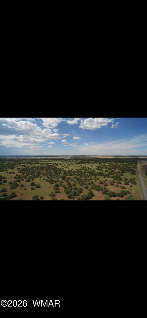 Tiny photo for 850 Cinder Pit Road, Show Low, AZ 85901 (MLS # 263560)