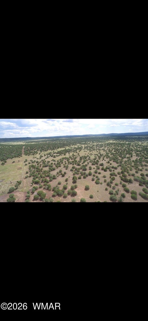 Tiny photo for 850 Cinder Pit Road, Show Low, AZ 85901 (MLS # 263560)
