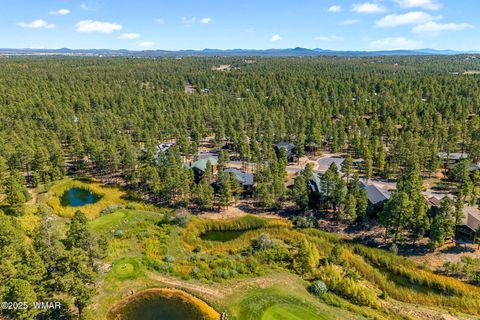 Tiny photo for 490 S Rockcress Lane, Show Low, AZ 85901 (MLS # 258276)