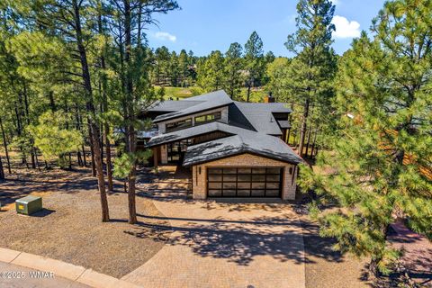 Tiny photo for 490 S Rockcress Lane, Show Low, AZ 85901 (MLS # 258276)