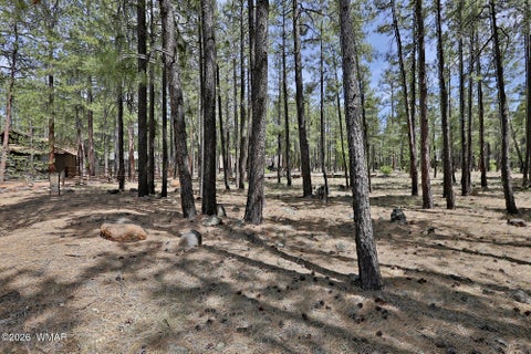 Tiny photo for 2682 Brahma Circle, Pinetop, AZ 85935 (MLS # 262916)