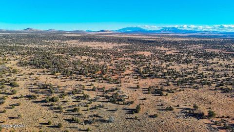 Tiny photo for 5823 Cattle Guard Rd 21.41 Acres, Williams, AZ 86046 (MLS # 258084)